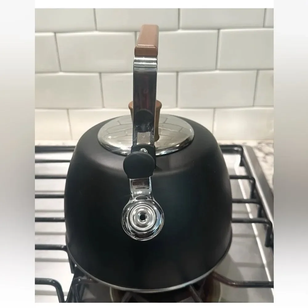 Well Equipped Kitchen Black Matte Stainless Steel Tea Kettle